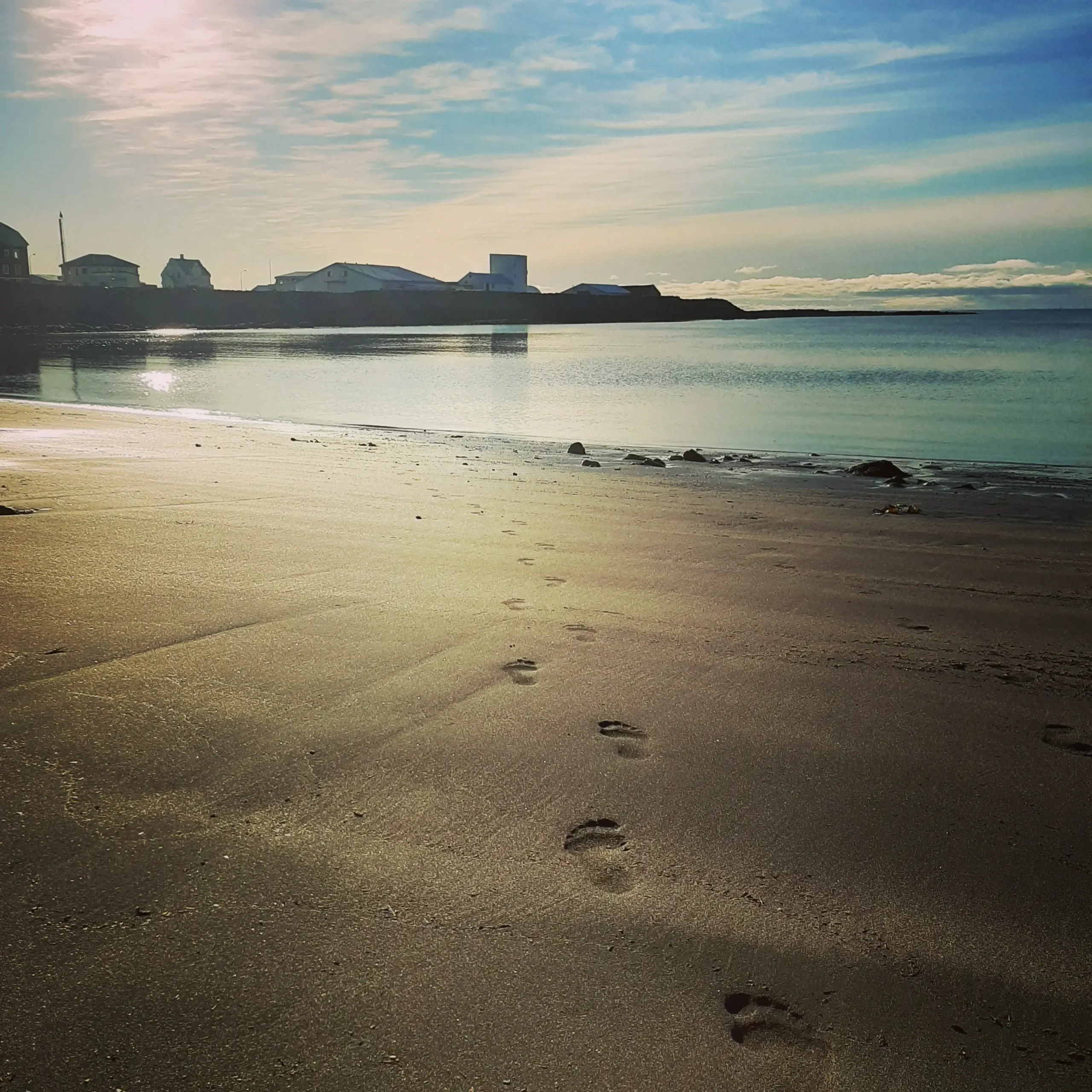 Footprints leading along a black sand beach in Iceland